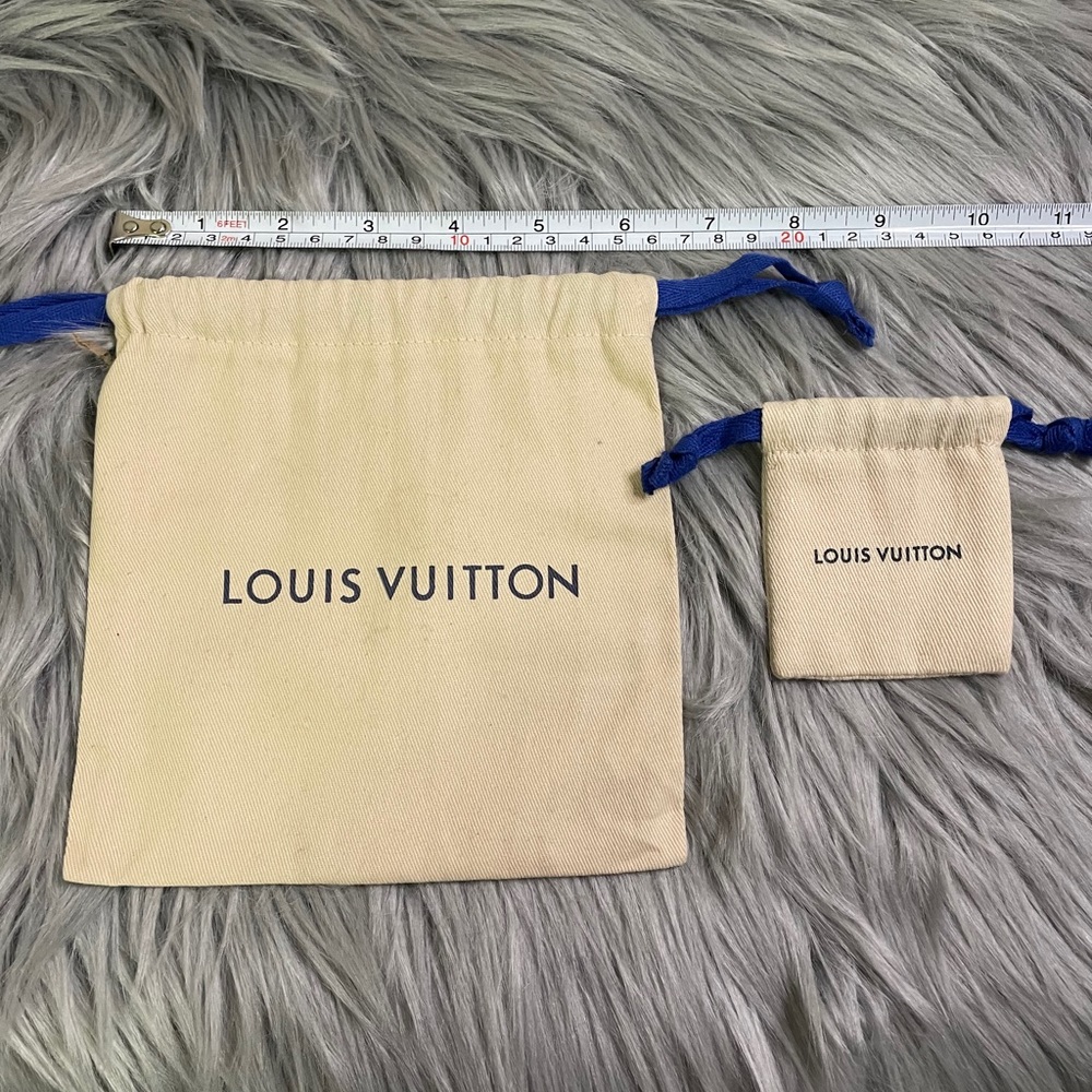 Louis Vuitton dust bag for accessories
